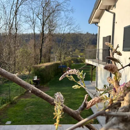 Con Giardino شقة